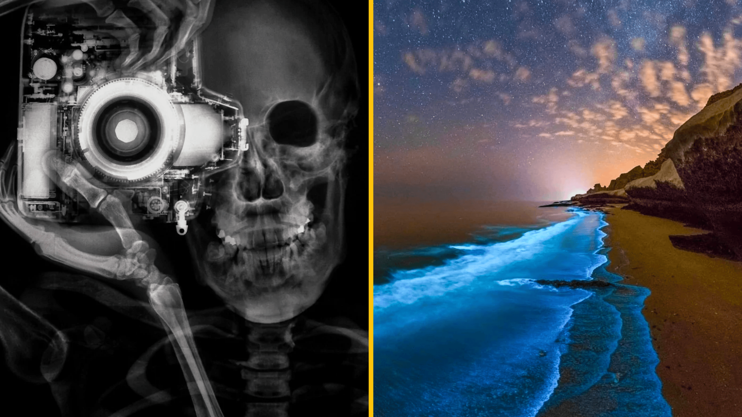 Rentgenový záber fotografa s kamerou a nočná pláž s bioluminiscenčným vlnobitím a hviezdnou oblohou.