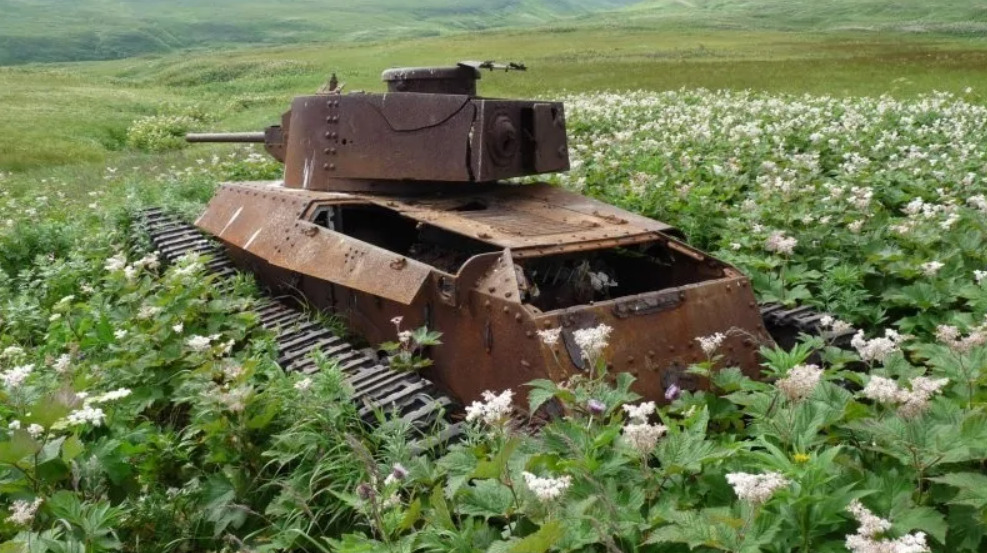 Zhrdzavený tank opustený v poli kvetov na zelenej lúke.