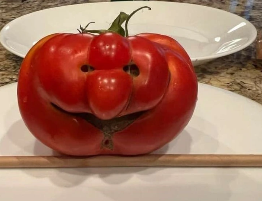 Nezvyčajná paprika tvarom pripomínajúca usmievajúcu sa tvár, položená na bielom tanieri.