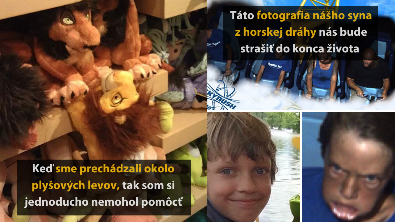 Koláž fotografií s plyšovými levmi a zábavnými výrazy tvárí, vrátane fotografie z horskej dráhy.
