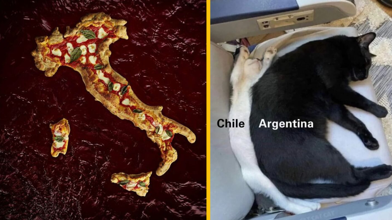 Pizza v tvare Talianska a spiace mačky s názvami krajín, Chile a Argentína. Kreatívna kombinácia potravín a zvierat.