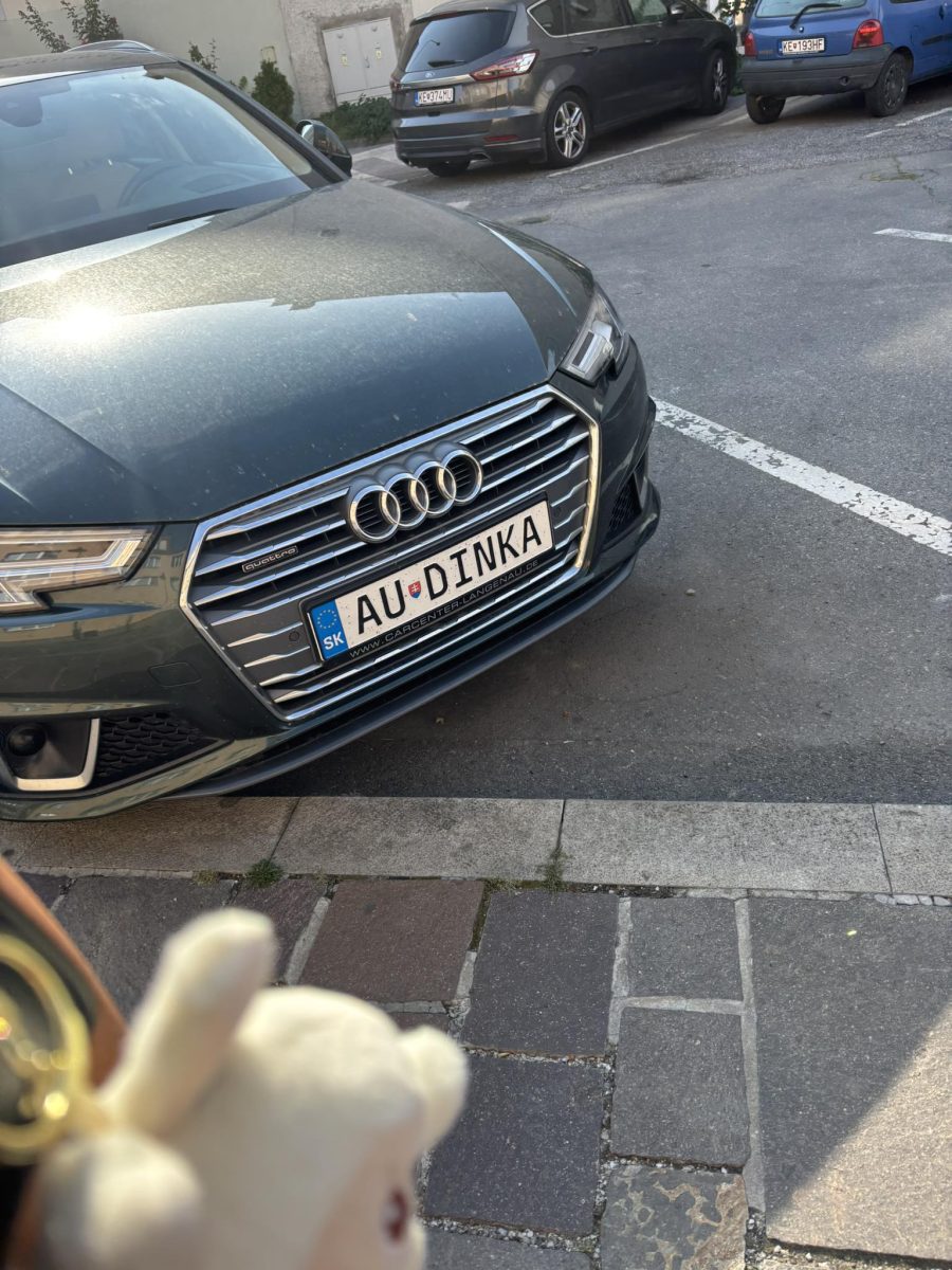 Šedé Audi zaparkované na ulici s personalizovanou ŠPZ AU-DINKA, v popredí plyšová hračka.