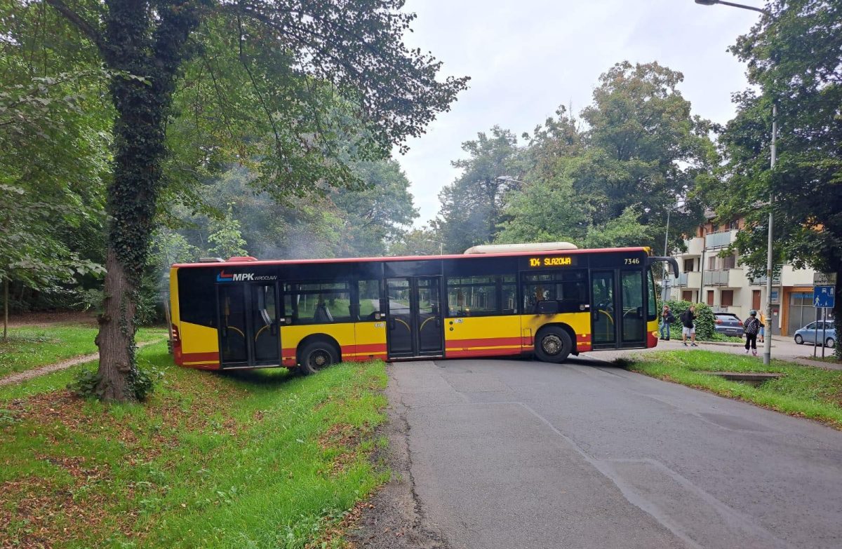 Autobus blokujúci cestu pri parku, cestujúci vystupujú na chodník, zelené stromy v pozadí.