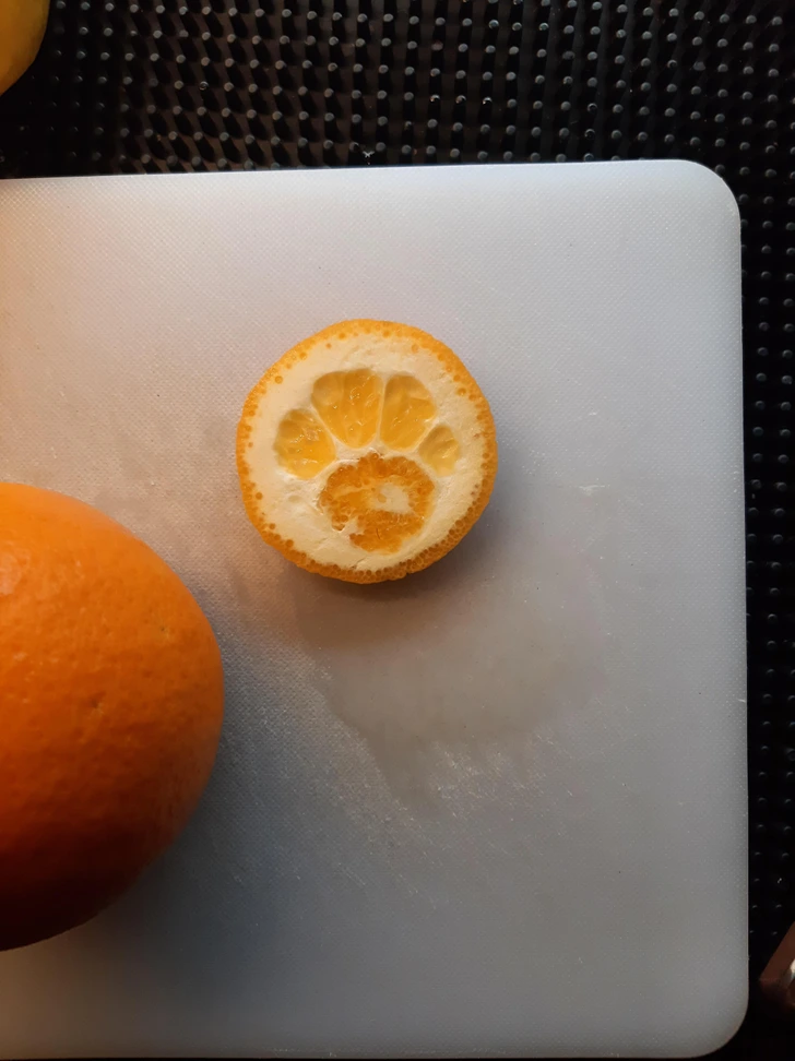 Plátok pomaranča s vnútorným vzorom pripomínajúcim mačaciu labku, na bielom podklade.