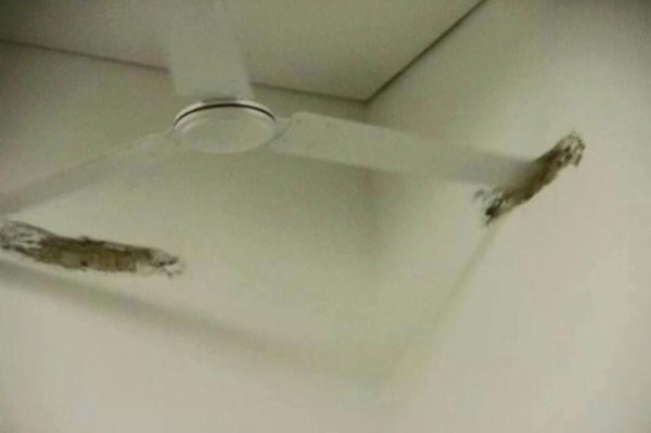 Stropný ventilátor s poškodeným okrajom na strope, znázorňujúci opotrebenie.