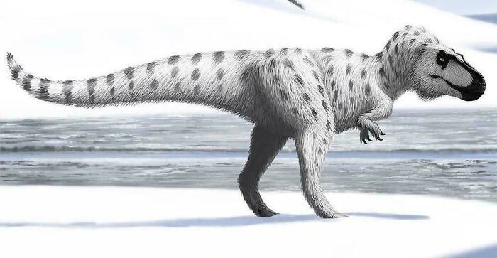 Ilustrácia dinosaura s perím prechádzajúca sa po zasneženej krajine s pozadím zamrznutého jazera.