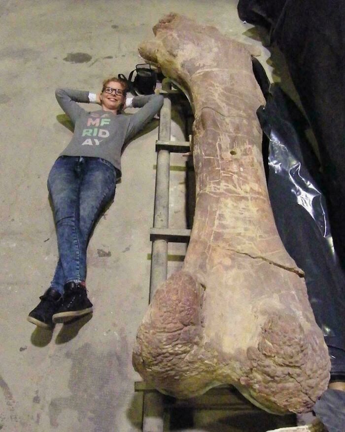 Osoba leží vedľa obrovského dinosauřího fosílného kosti, ktorá zdôrazňuje jeho monumentálnu veľkosť a historickú hodnotu.