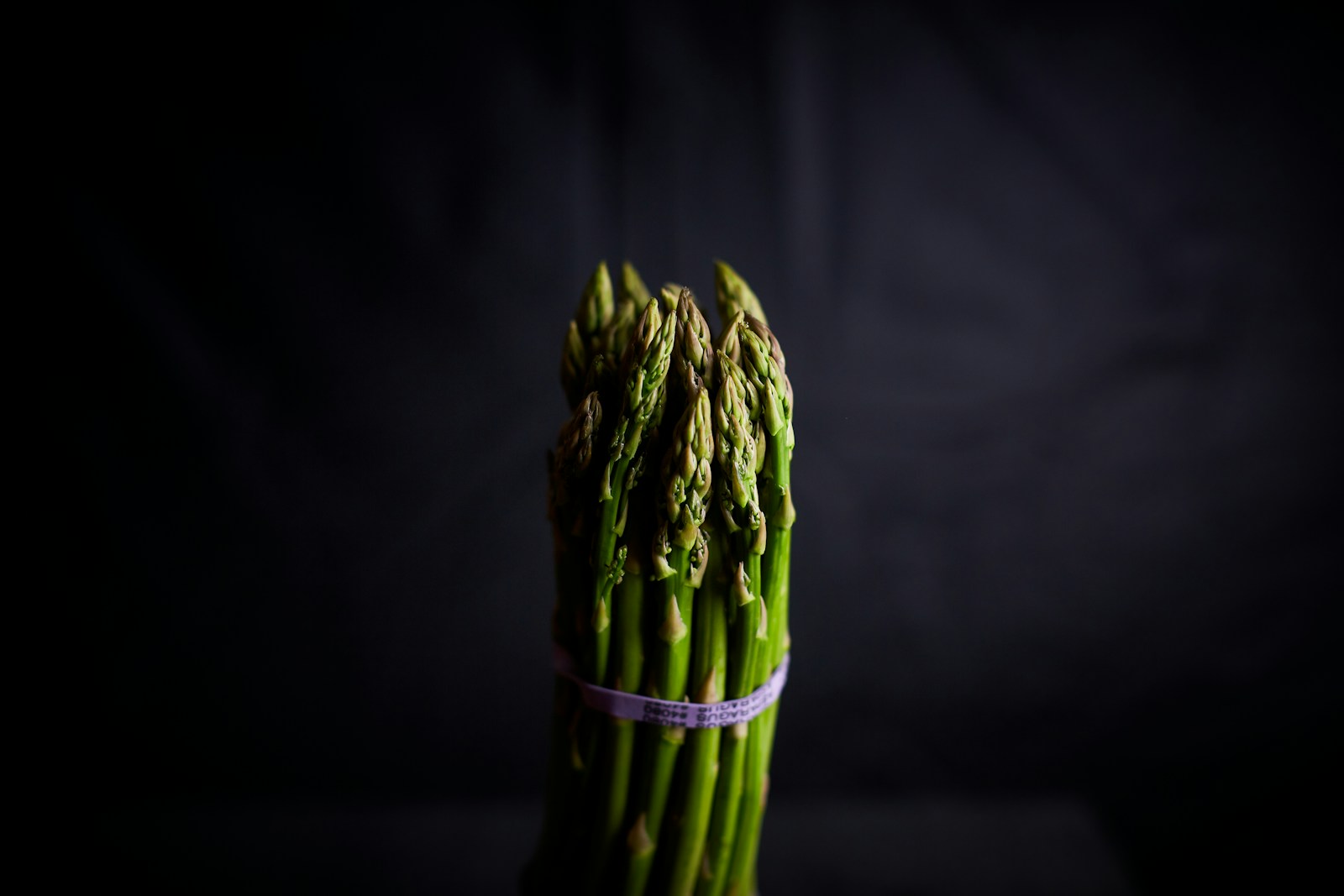 green plant on black textile