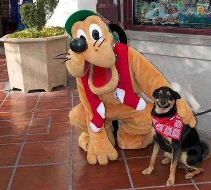 Maskot psa v kostýme objíma psa s červenou šatkou na dláždenom dvore.