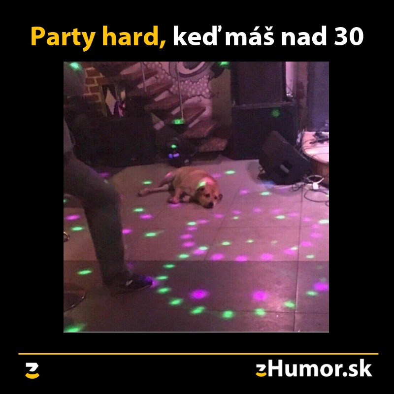 Pes leží na parkete v klube osvetlený farebnými svetlami, text: Party hard, keď máš nad 30.