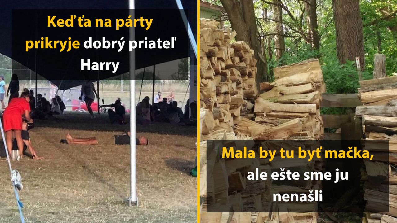 Ľudia ležia pod stanom na párty; vedľa je kopa dreva, kde by mala byť neviditeľná mačka.