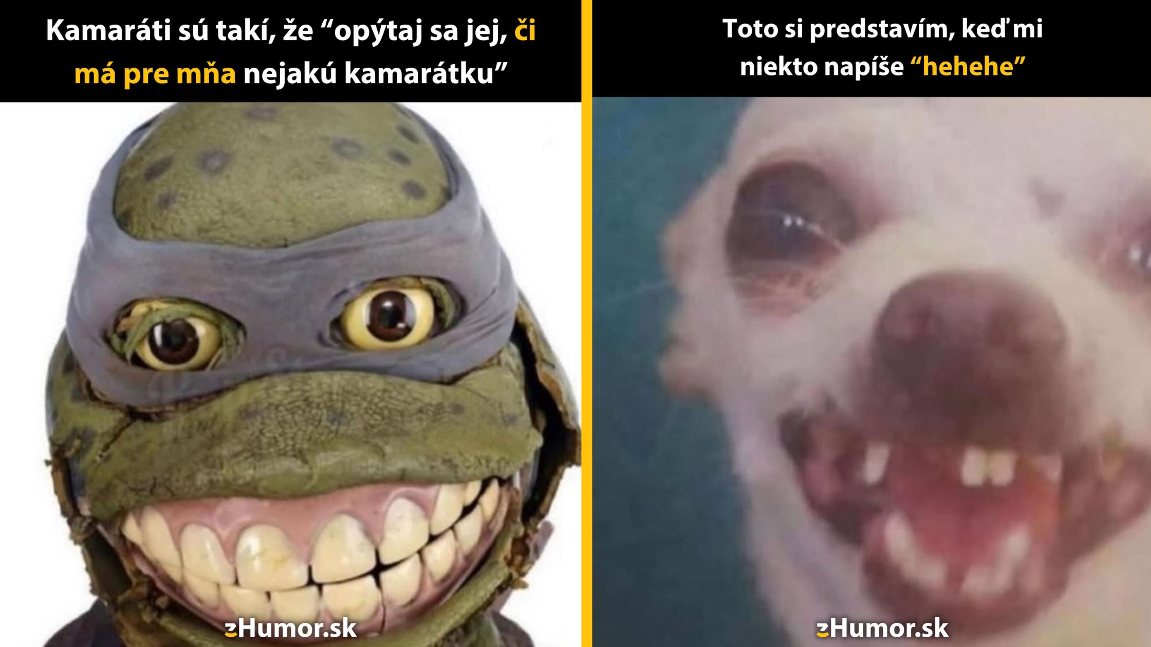 Želva a pes s vtipnými výrazy tváre, text o kamarátoch a reakciách na smiech.