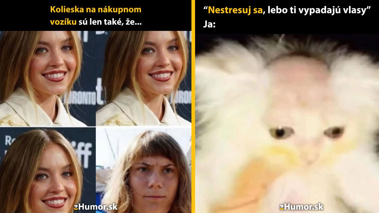 Žena a mačka s rozcuchanou srsťou vtipne ilustrujú stres a nákupný vozík.