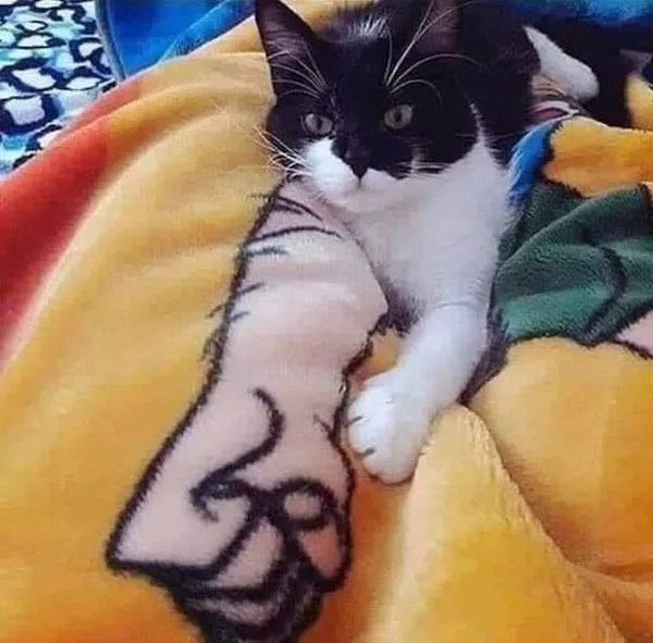 Čiernobiela mačka leží na pestrofarebnej deke s potlačou ruky, ktorá budí dojem, že ruka patrí k mačke.