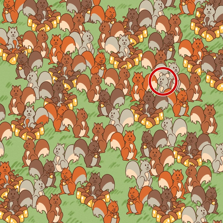 Ilustrácia veveričiek s ukrytým vtákom, obklopených žaluďmi v tráve.