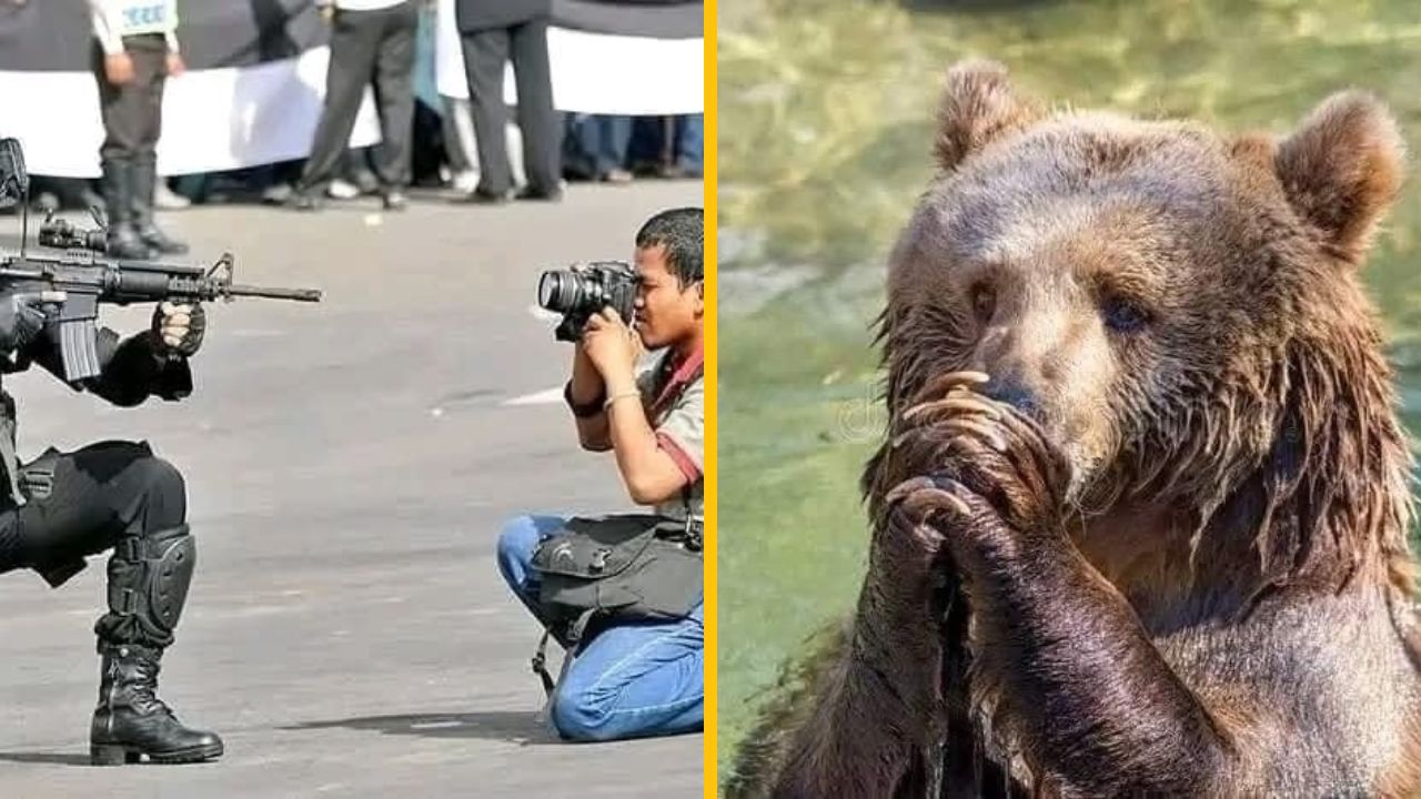 Fotograf kľačí pred ozbrojencom, vedľa je medveď zdvíhajúci laby k papuli, zachytený vo vode.