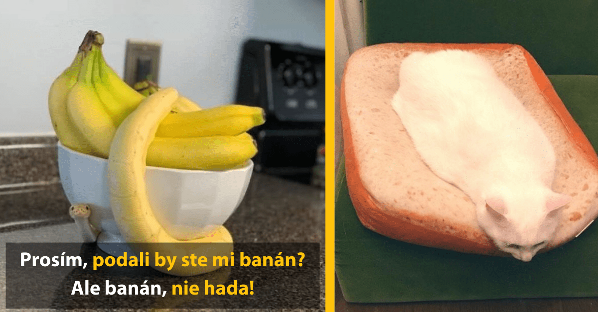 Banány v miske a mačka ležiaca na vankúši v tvare chleba, vtipné porovnanie.