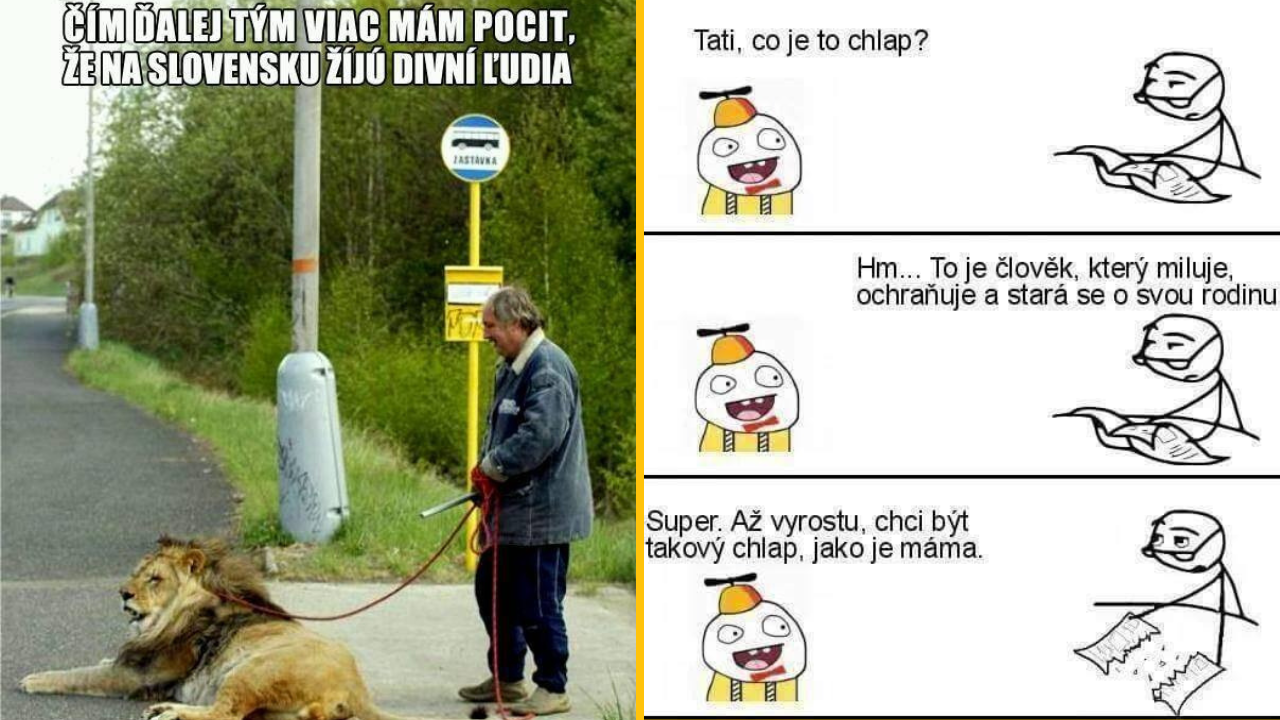 Muž venčí leva na dedinskej zastávke a kreslený strip s rozhovorom o tom, čo znamená byť chlapom.
