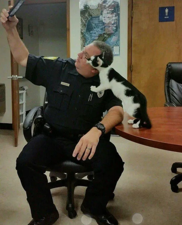 Policajt si robí selfie s roztomilou mačkou na stole v kancelárii.