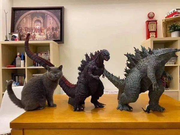 Mačka sedí vedľa dvoch figúrok Godzilly na stole v obývačke.