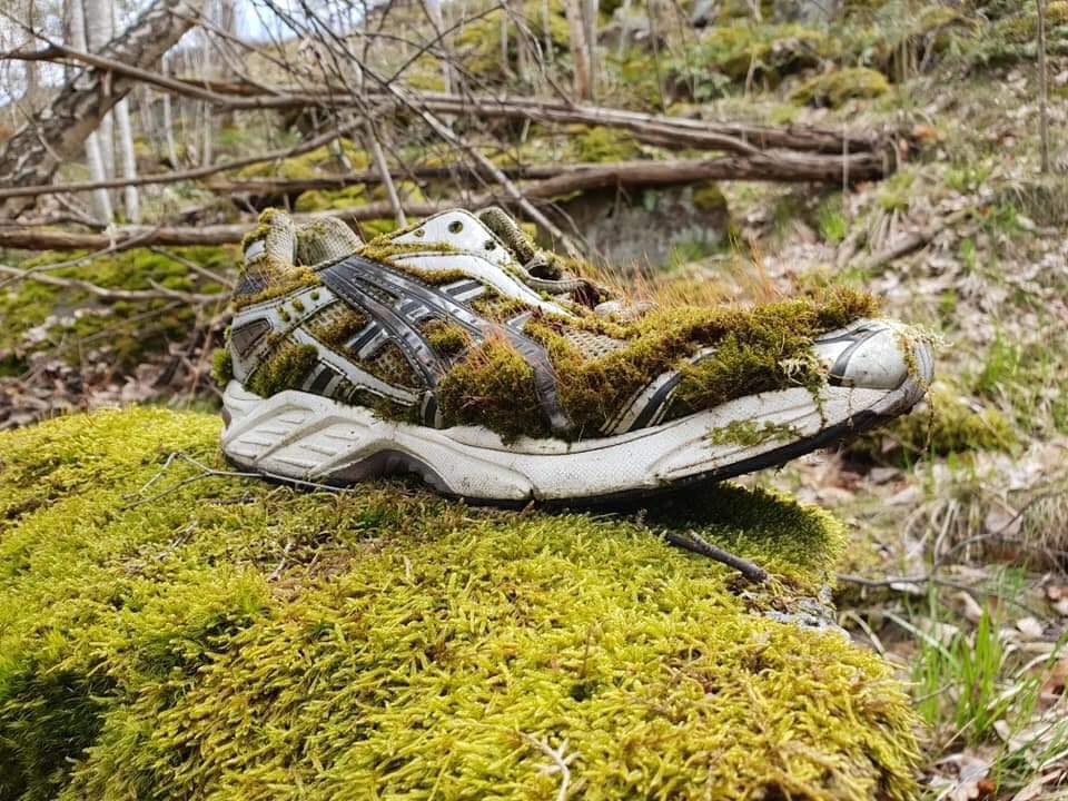 Starý teniska pokrytá machom v lese symbolizuje opustenie a prírodné pohltenie.