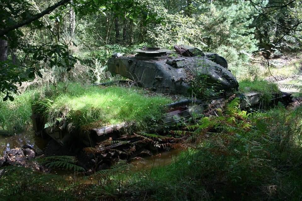 Starý tank zarastený trávou a papradiami v lese, obklopený prírodou a pokojnou atmosférou.