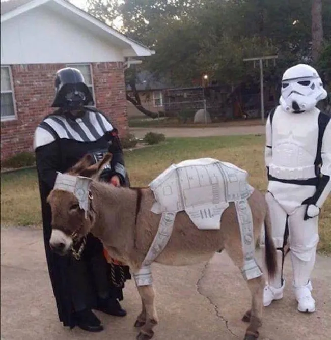 Osoby v kostýmoch zo Star Wars so somárom v hviezdnom preoblečení pred domom na dvore.