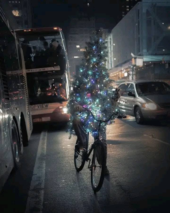 Cyklista nesie svietiaci ozdobený stromček po nočnej ulici.