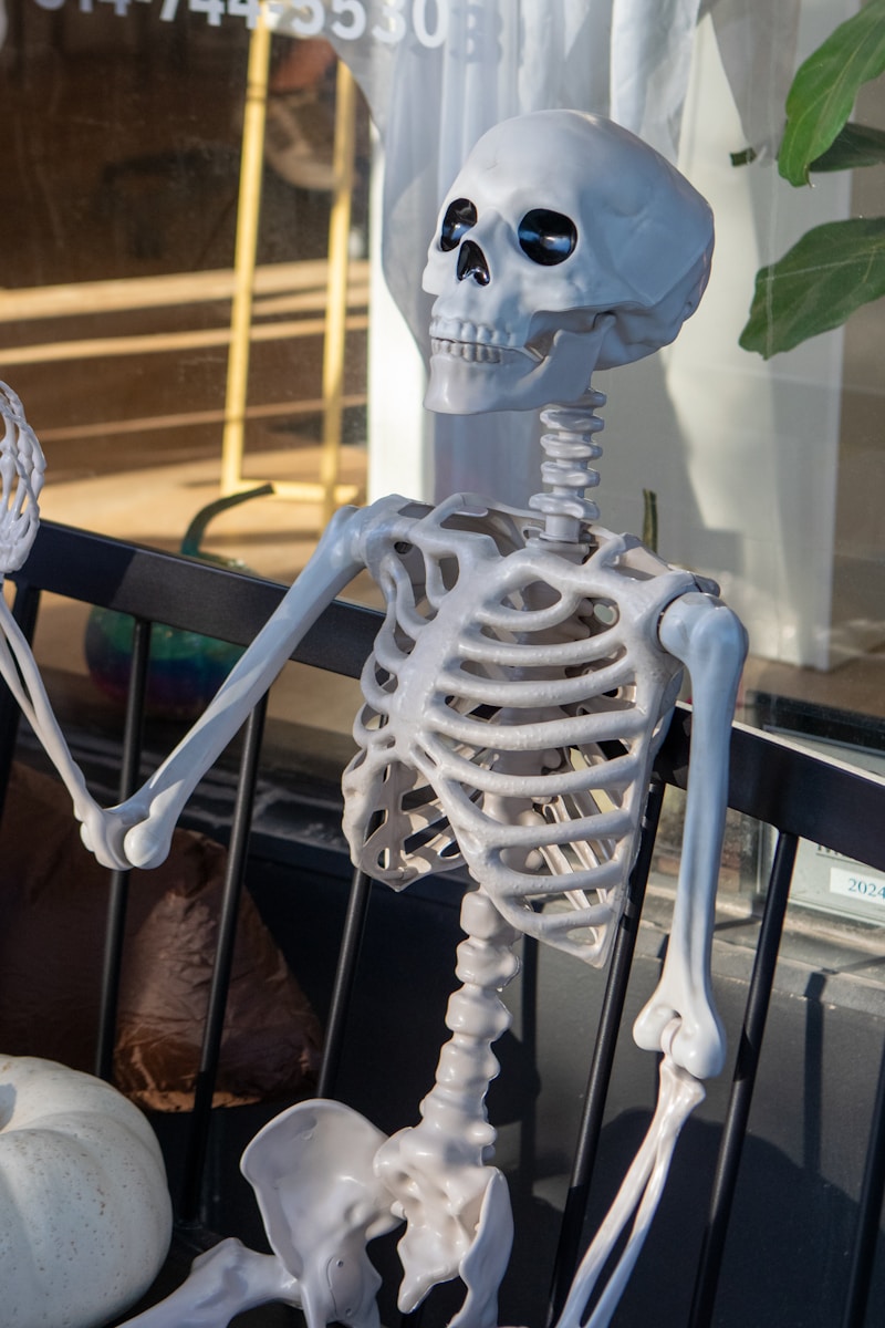 A skeleton sits displayed in a store window.