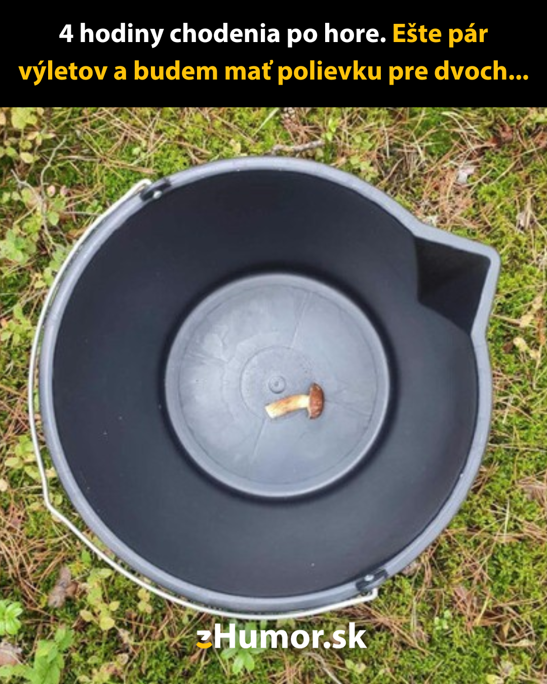 Vedro s jednou hubou na dne, vtipný text o zberaní húb na tanieri.