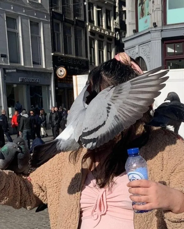 Osoba s fľašou vody, zatiaľ čo holub pristáva na jej hlave, mestské pozadie s obchodmi a chodcami.