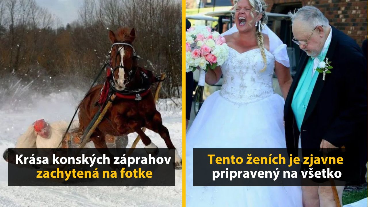 Konský záprah v snehu a veselá nevesta so ženíchom, ktorý sa usmieva v obleku.
