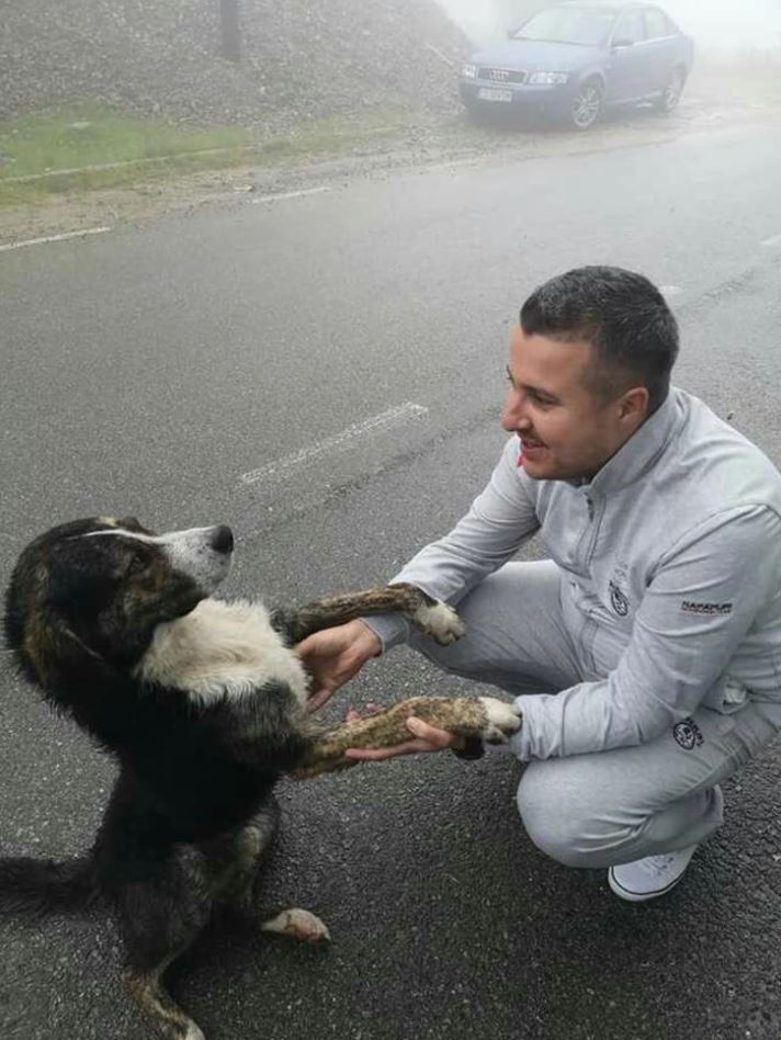Muž v šedej súprave drží labky psa na mokrej ceste, za nimi hmlistá krajina a auto.
