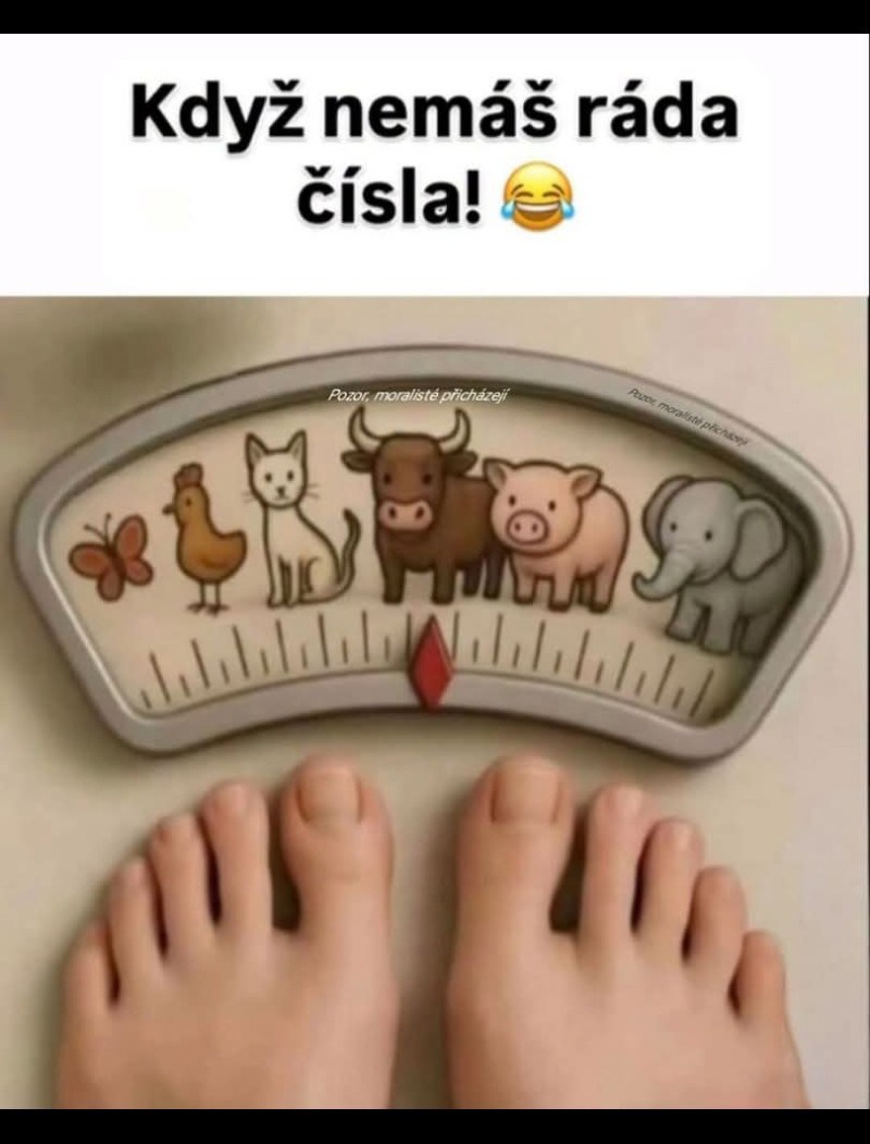 Osoba stojí na váhe s detskými obrázkami zvierat miesto čísiel, humorný pohľad na váženie.