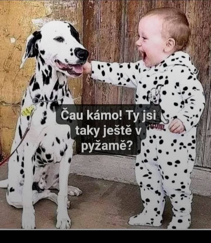 Dieťa v bodkovanej pyžame sa smeje vedľa dalmatína, obaja v podobných vzoroch, zdieľajú veselý moment.