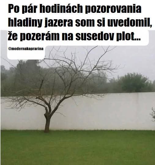 Strom pred bielym plotom s vtipným textom o sledovaní jazera, ktoré sa zmení na susedov plot.