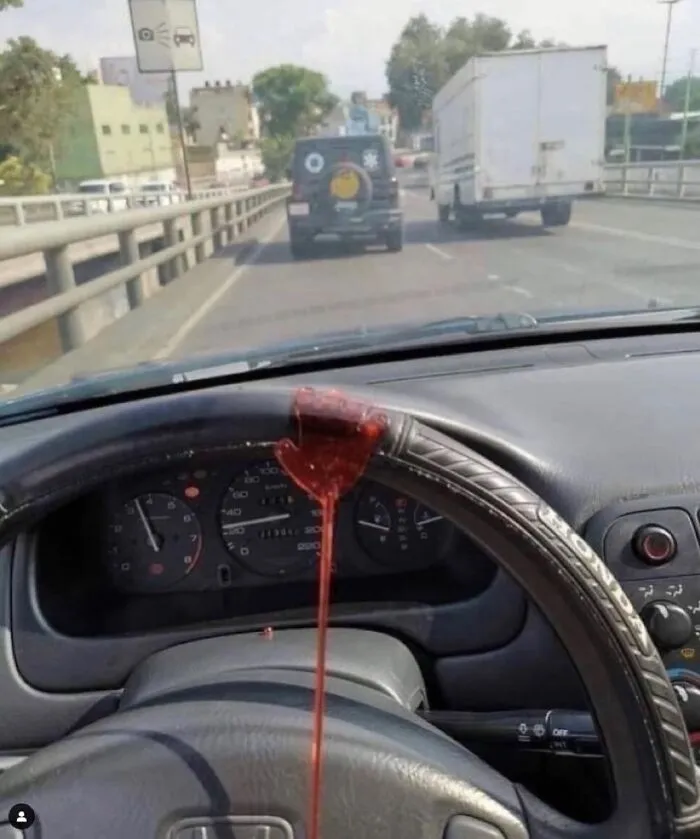 Auto jazdiace po ceste, volantom preteká niečo červené, pohľad z interiéru.