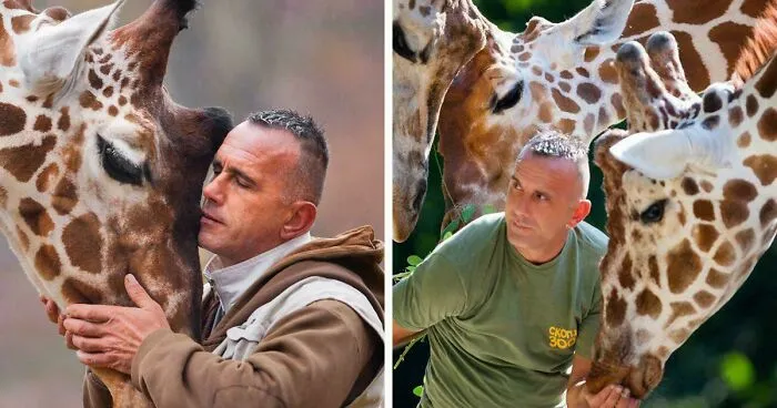 Muž v objatí so žirafami, ukazuje úzky vzťah medzi človekom a zvieratami v prírode.