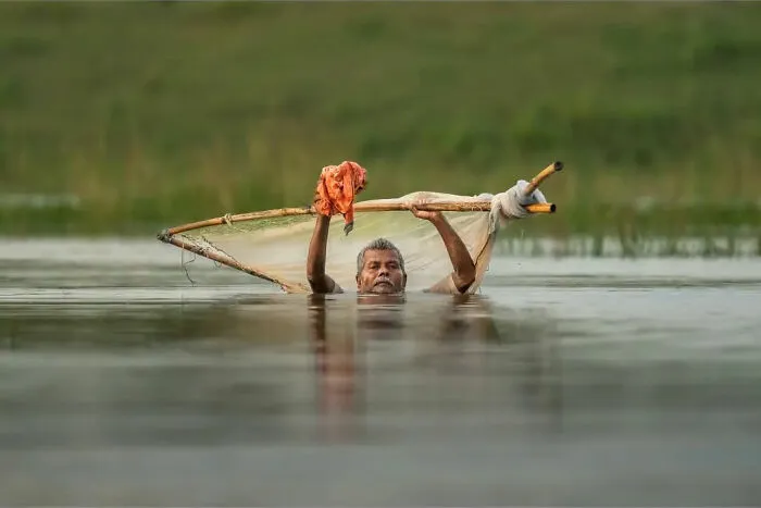 Rybár loví s tradičnou sieťou vo vode obklopenej zeleňou.