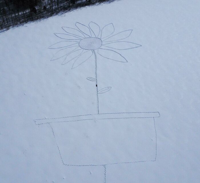 Veľký kvet nakreslený v snehu pripomínajúci slnečnicu, obrysy v tvare kvetináča.