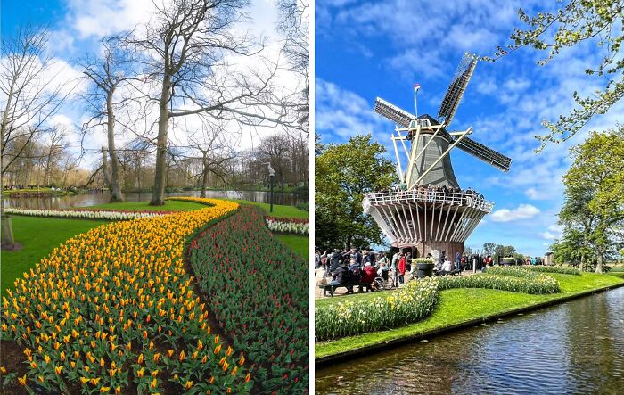 Farebný park s tulipánmi a veterným mlynom pri jazere na jar.