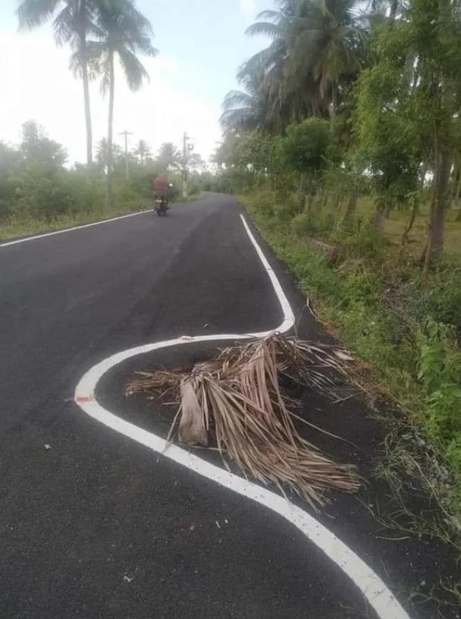 Cesta s obchádzkou okolo palmového lístia na kraji, motorkár vzadu na vidieckej ceste lemovanej palmami.