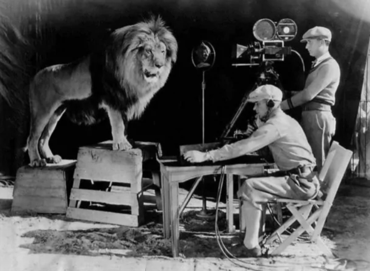 Levitačký lev pred filmovou kamerou v štúdiu, pripravený na natáčanie.