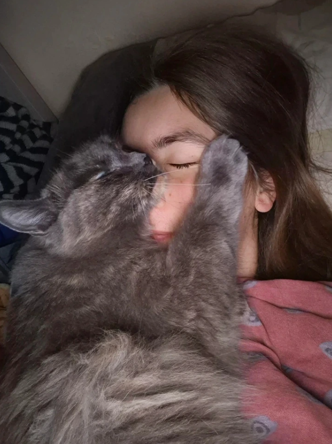 Mäkká sivá mačka objíma spiacu osobu, vytvára pocit pokoja a tichej náklonnosti.