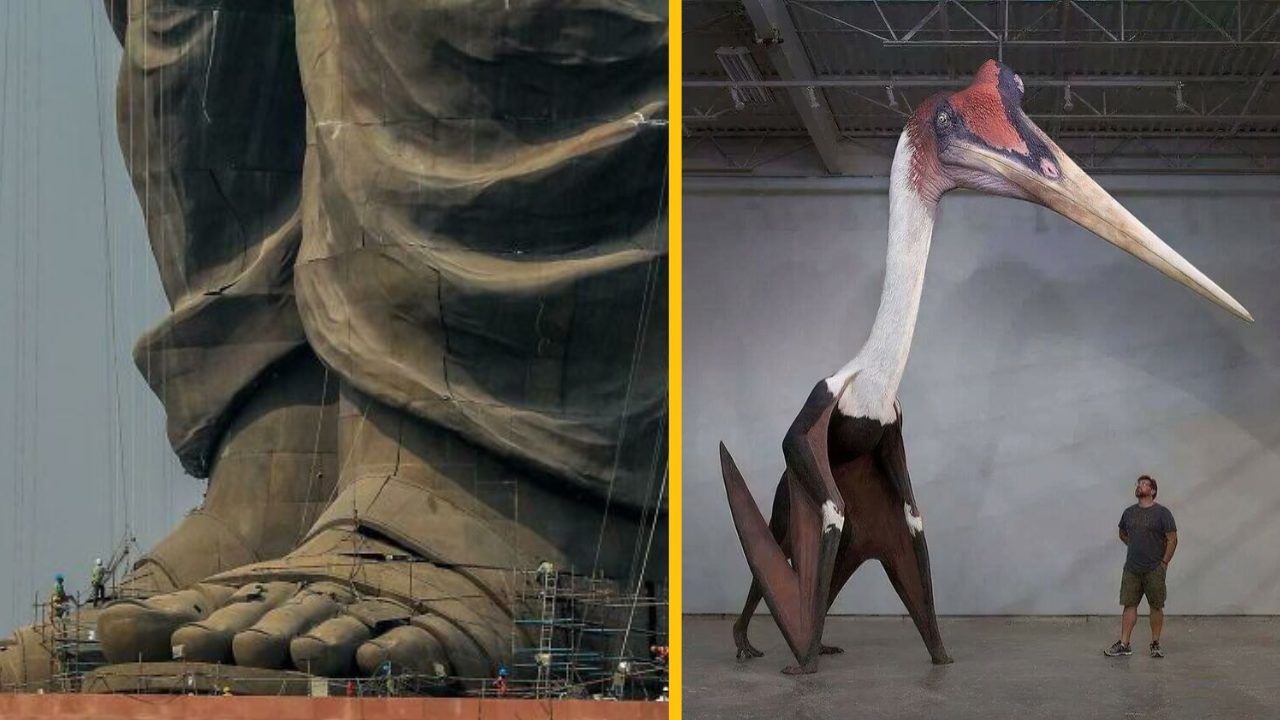 Ľudia pri obrovskej soche a model pterosaura ukazujú veľkosť a pôsobivý rozsah historických sôch a tvorov.