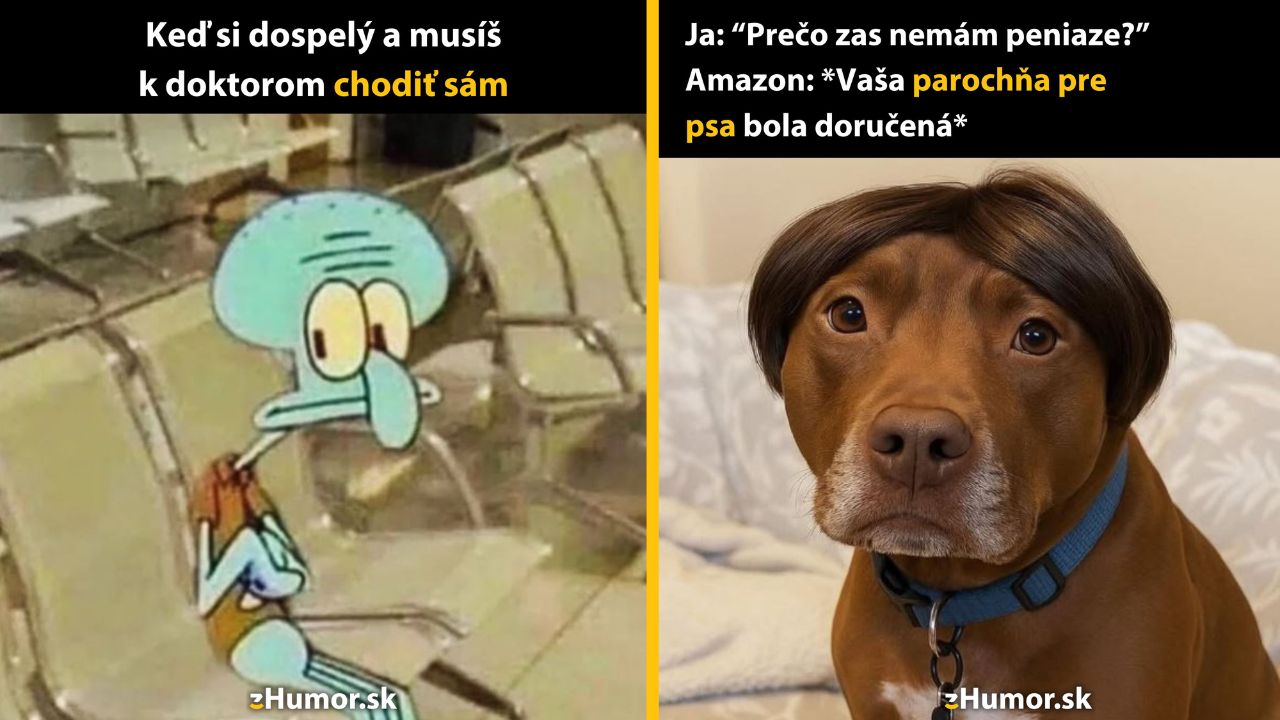 Kalamár sedí v čakárni s výrazom obáv, pes s parochňou. Text o dospelosti a vtip o online nákupe.