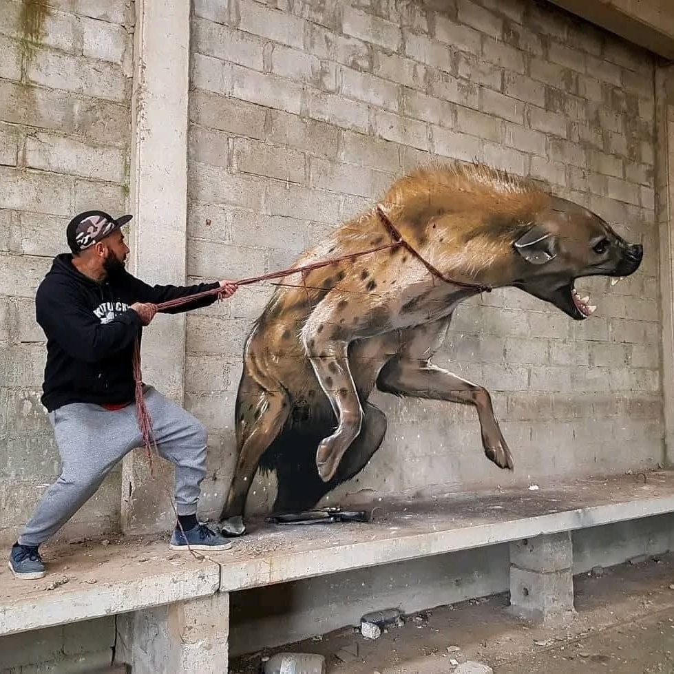 Muž drží lano ku realistickej ilustrácii hyeny na stene opustenej budovy, umenie v interakcii so skutočnosťou.