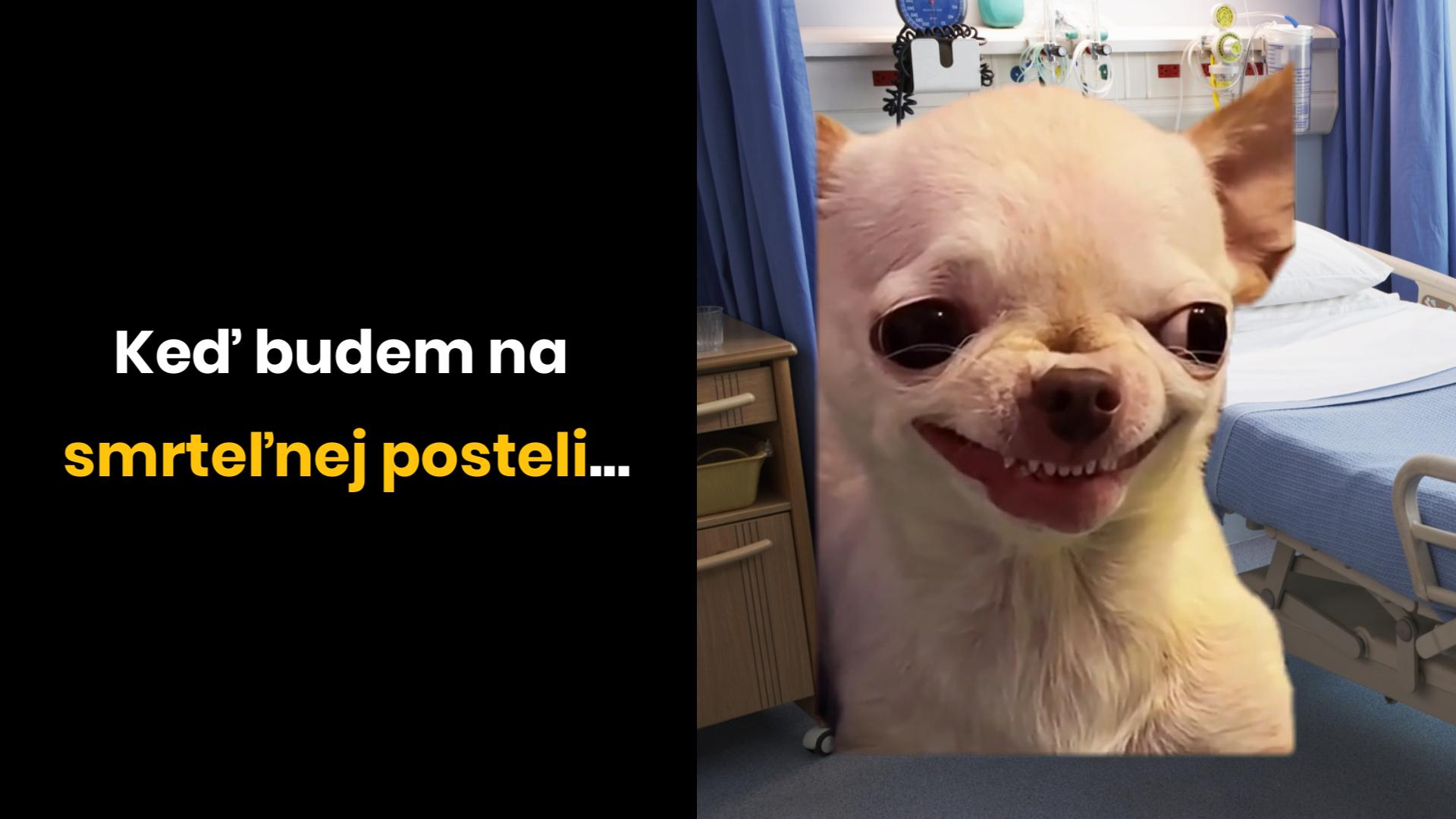 Pes so sarkastickým úsmevom vedľa nemocničnej postele a popis: Keď budem na smrteľnej posteli...