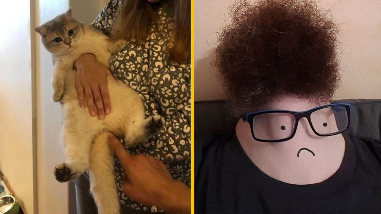 Mačka v náručí a kreslený smajlík s kučeravými vlasmi a okuliarmi. Zábavná koláž.
