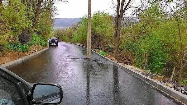 Automobil na mokrej ceste s elektrickým stĺpom uprostred, obkolesený zeleňou a stromami.